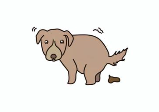腸を育てる腸活メソッド【ZOOMのみ】