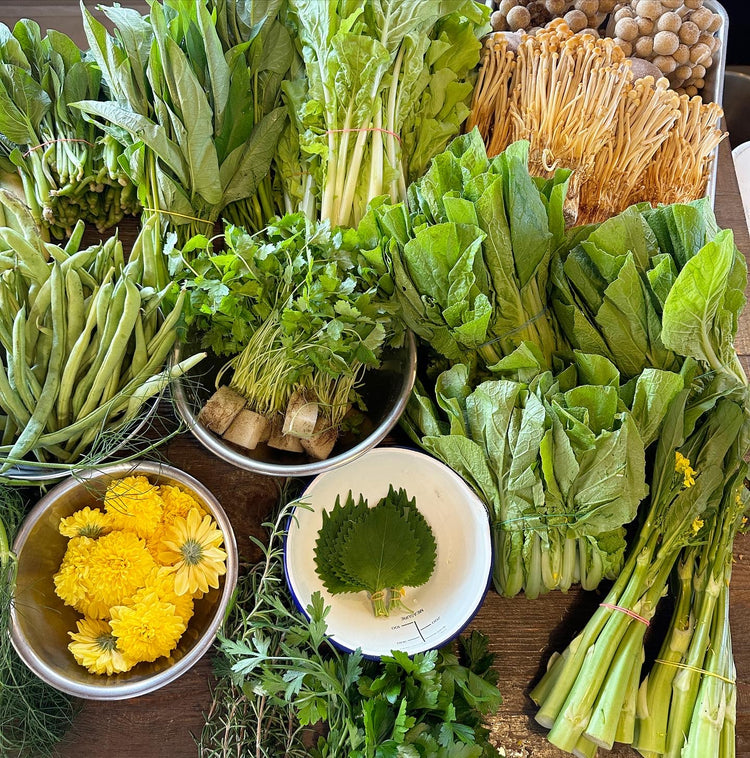 10月12日の今週のお惣菜たち
