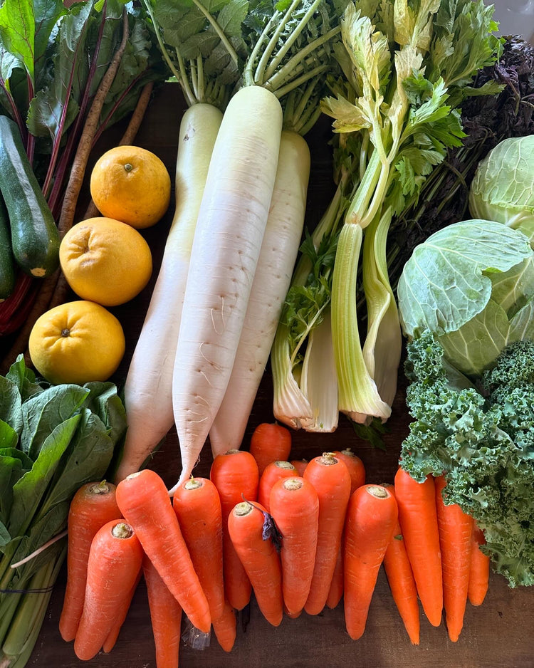 6月6日の今週のお惣菜たち