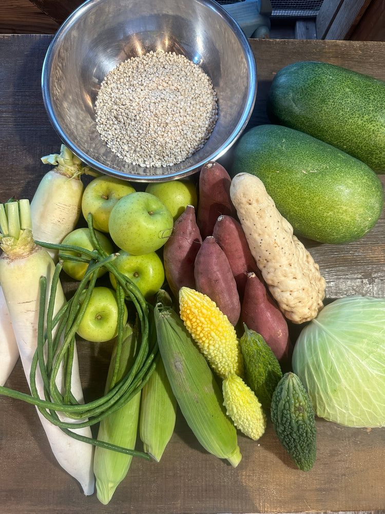 9月5日の今週のお惣菜たち