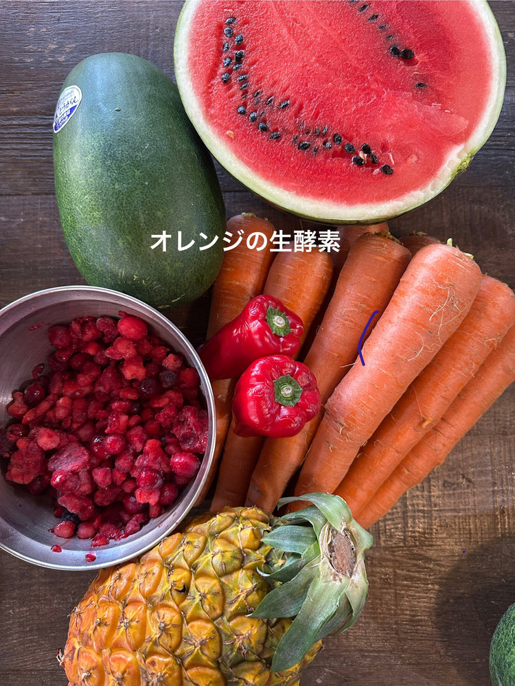 生醗酵ペースト非加熱シリーズ 2025.7.29