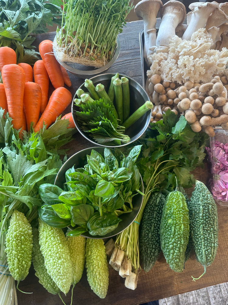 10月10日の今週のお惣菜たち