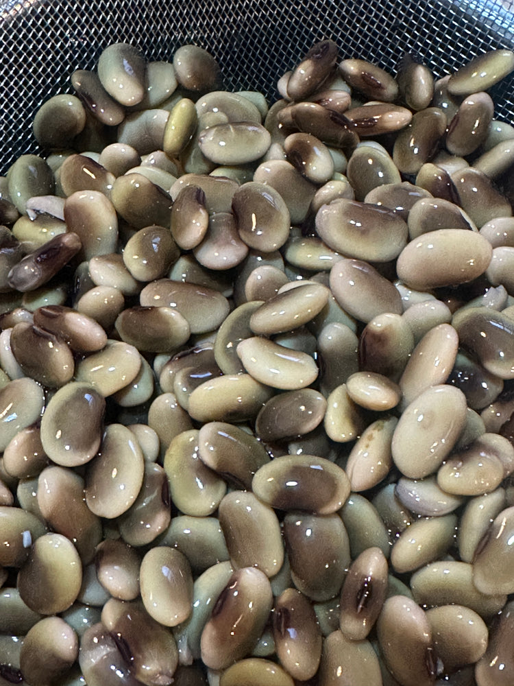 11月14日の今週のお惣菜たち