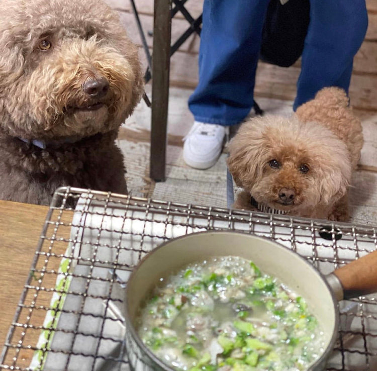 【病気になりにくい身体作りの犬ご飯講座】2023年秋 月曜日クラス