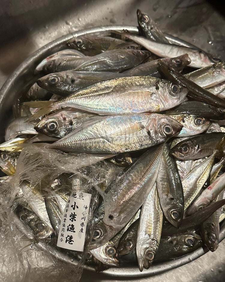 10月27日の今週のお惣菜たち