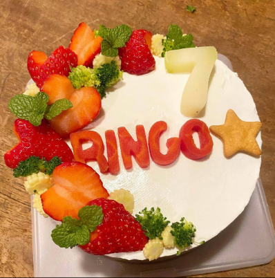 お祝いごはんケーキ