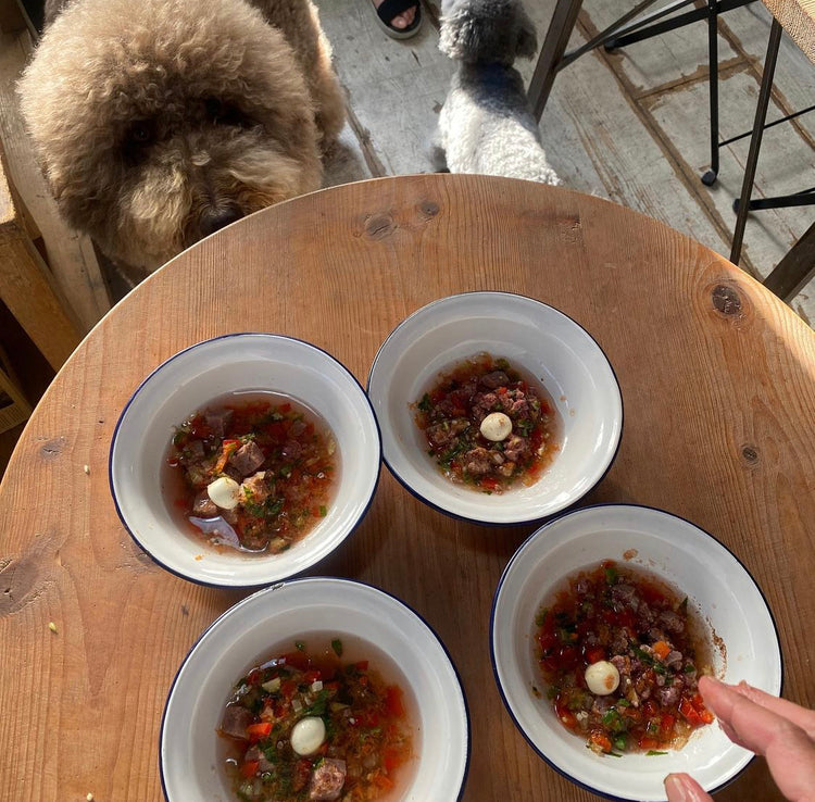 【病気になりにくい身体作りの犬ご飯講座】2022年春 水曜日クラス