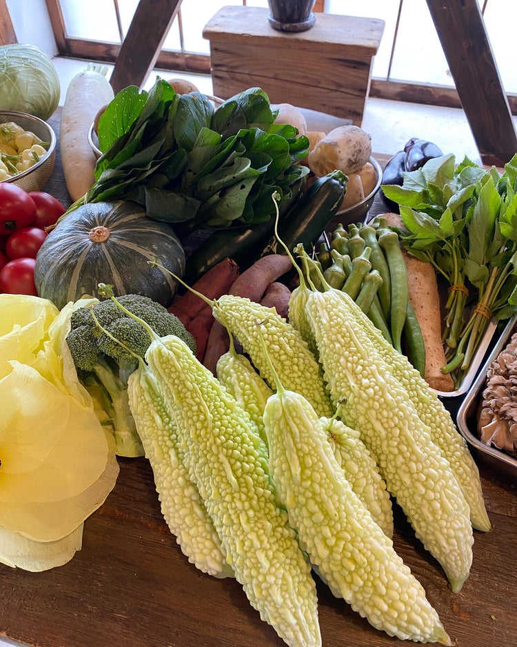 8月26日の今週のお惣菜たち