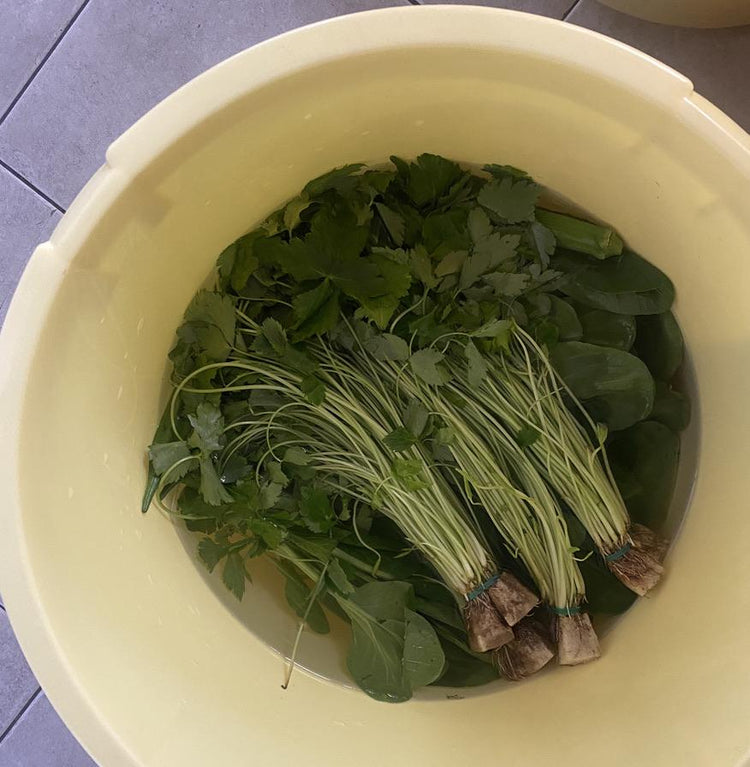 manpucu 季節の野菜スープ