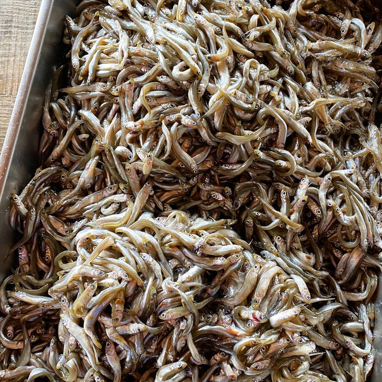 3月11日 今週のお惣菜たち
