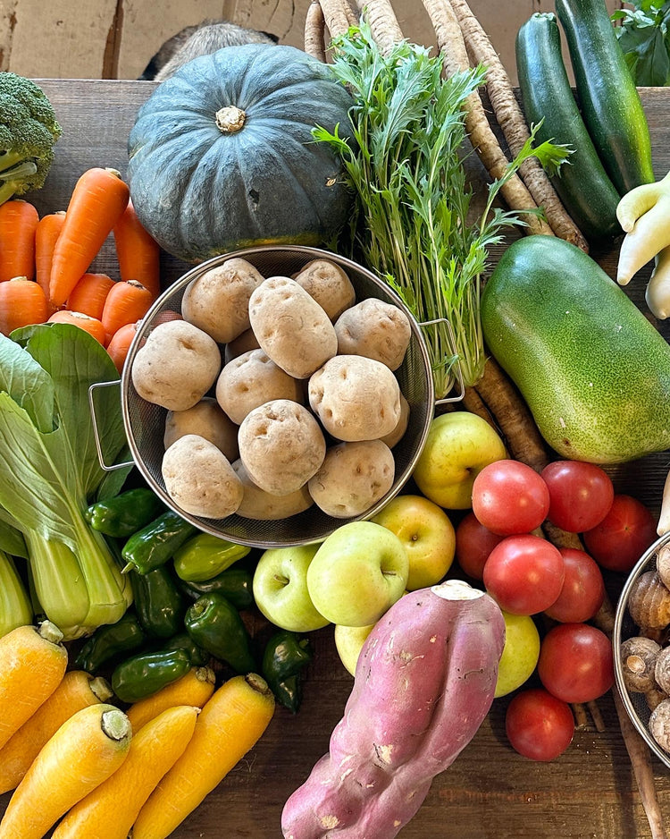 11月3日の今週のお惣菜たち