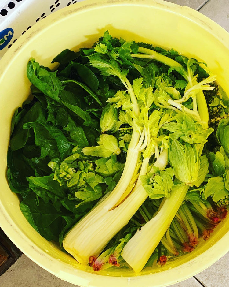 4月1日の今週のお惣菜たち