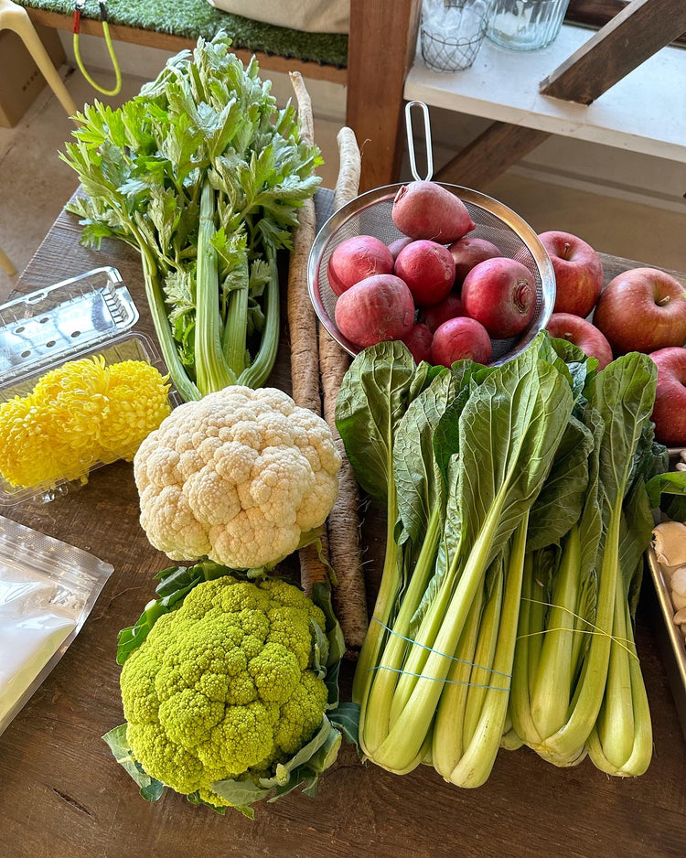 1月12日の今週のお惣菜たち