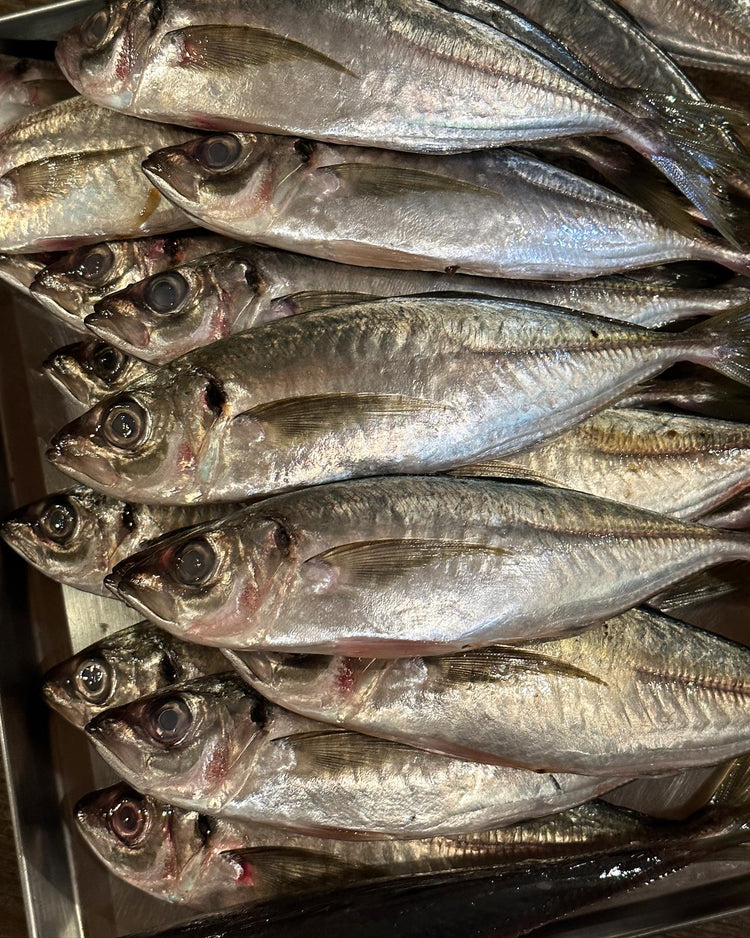 11月17日の今週のお惣菜たち