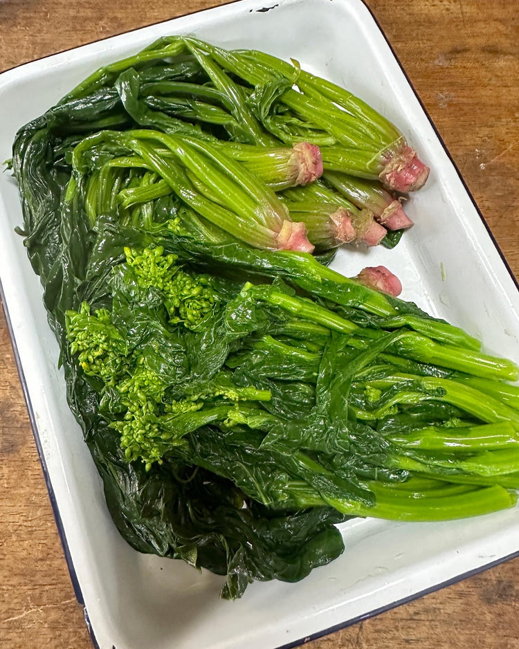 春のお花見弁当 for dog 2023