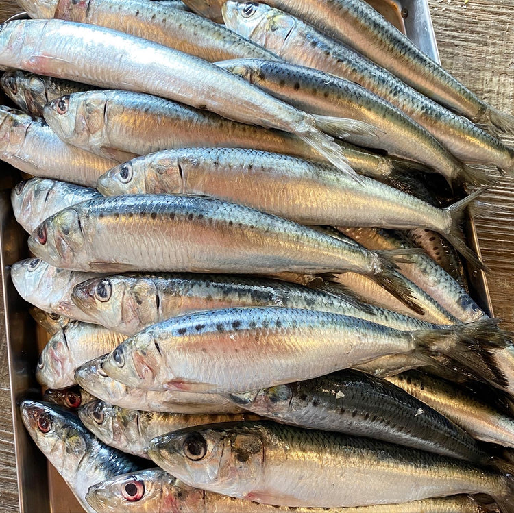 2月18日の今週のお惣菜たち
