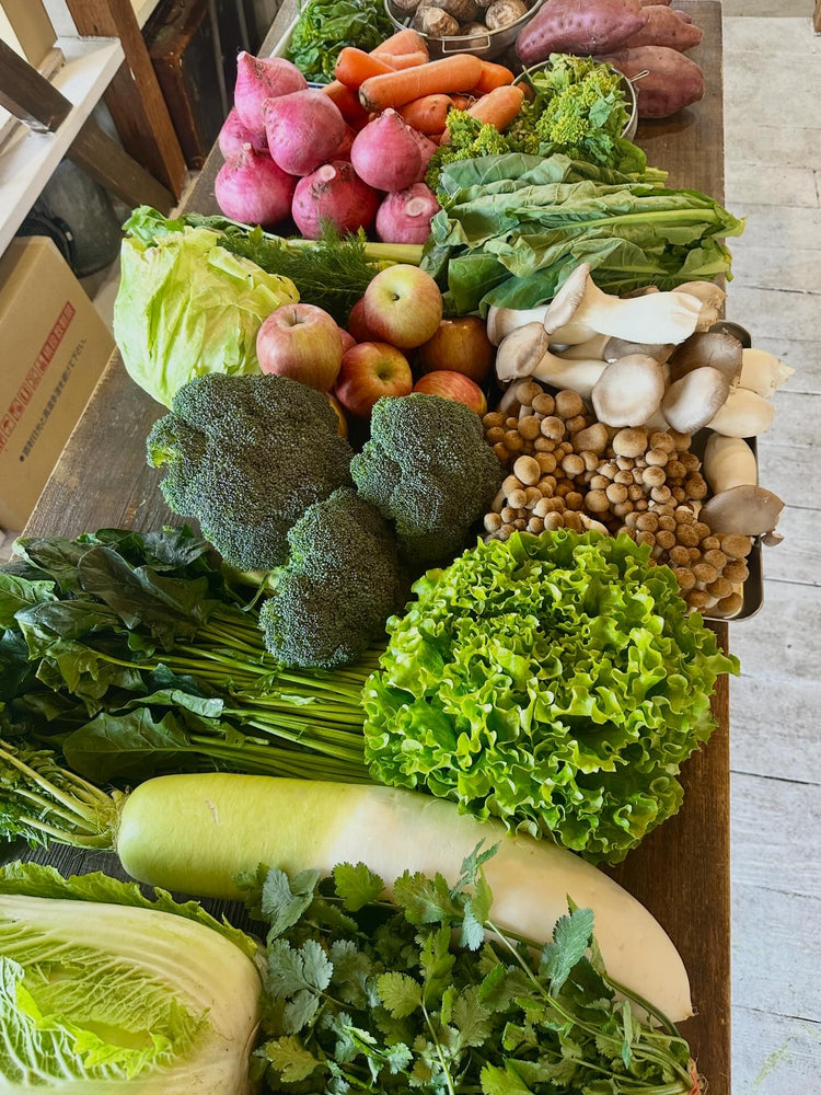 3月12日の今週のお惣菜たち