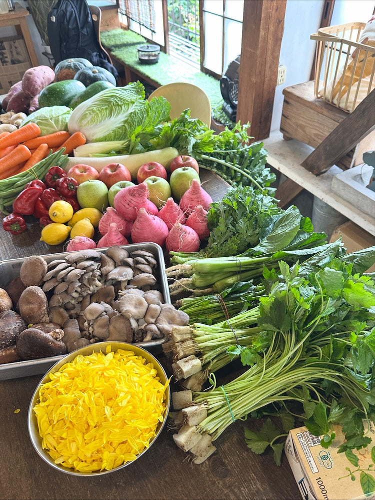 11月6日の今週のお惣菜たち