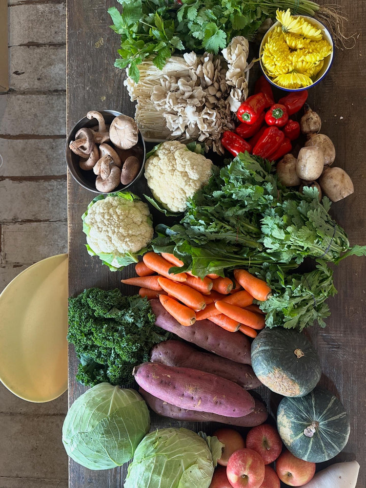 11月20日の今週のお惣菜たち