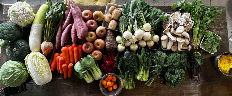 2月26日の今週のお惣菜たち