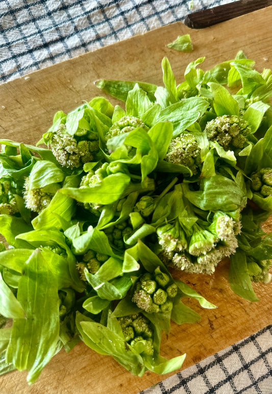 3月12日の今週のお惣菜たち