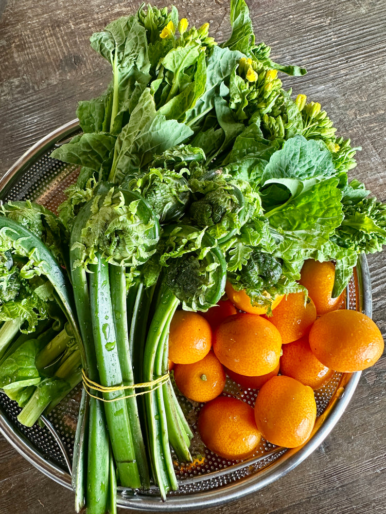 3月19日の今週のお惣菜たち