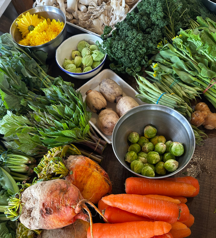 3月19日の今週のお惣菜たち