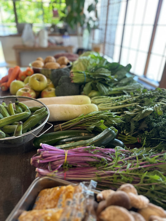 4月16日の今週のお惣菜たち