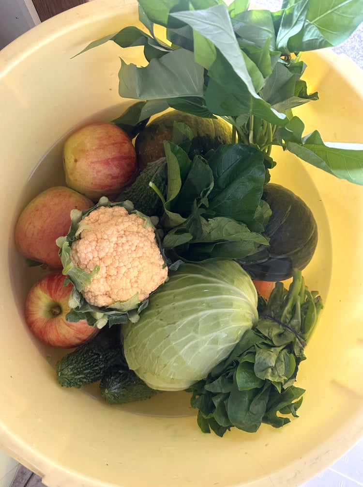 9月10日の今週のお惣菜たち