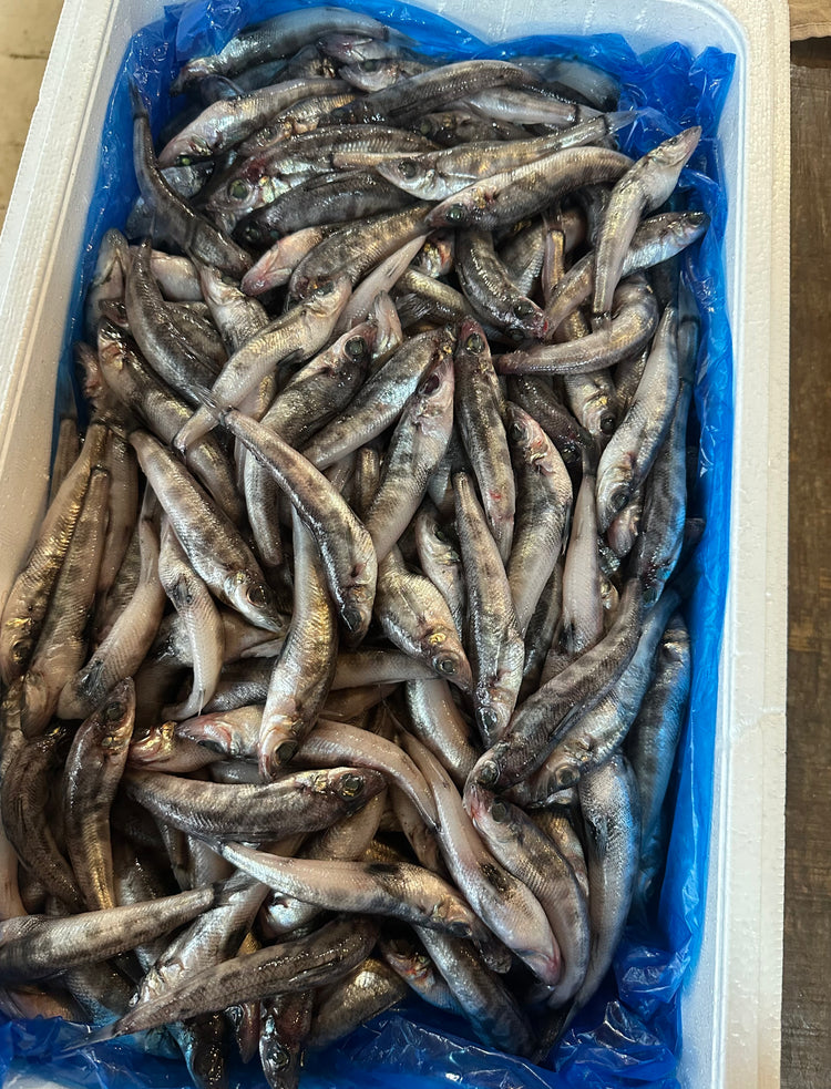 10月14日の今週のお惣菜たち