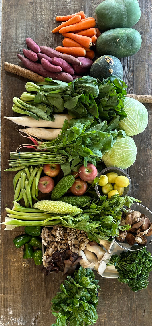 10月2日の今週のお惣菜たち