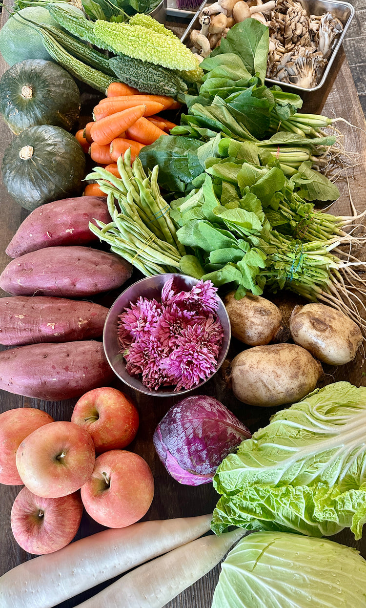 10月16日の今週のお惣菜たち