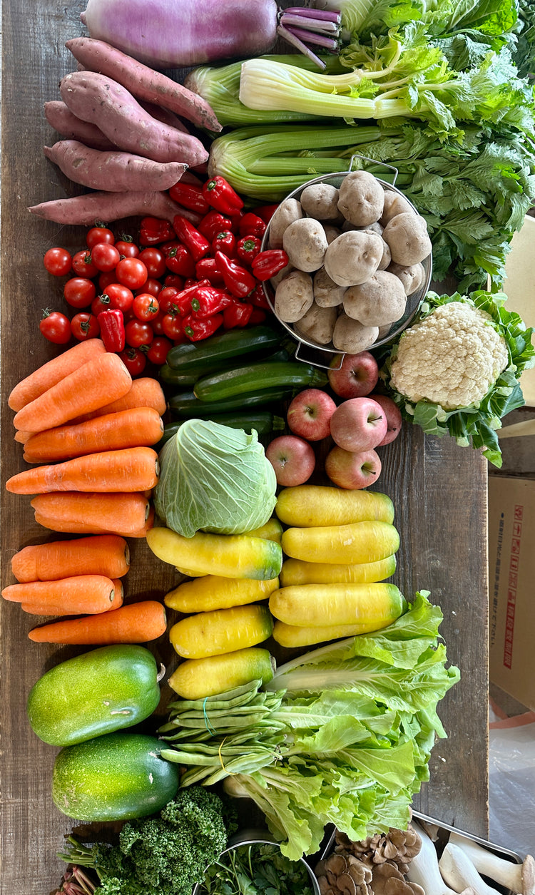 12月18日の今週のお惣菜たち